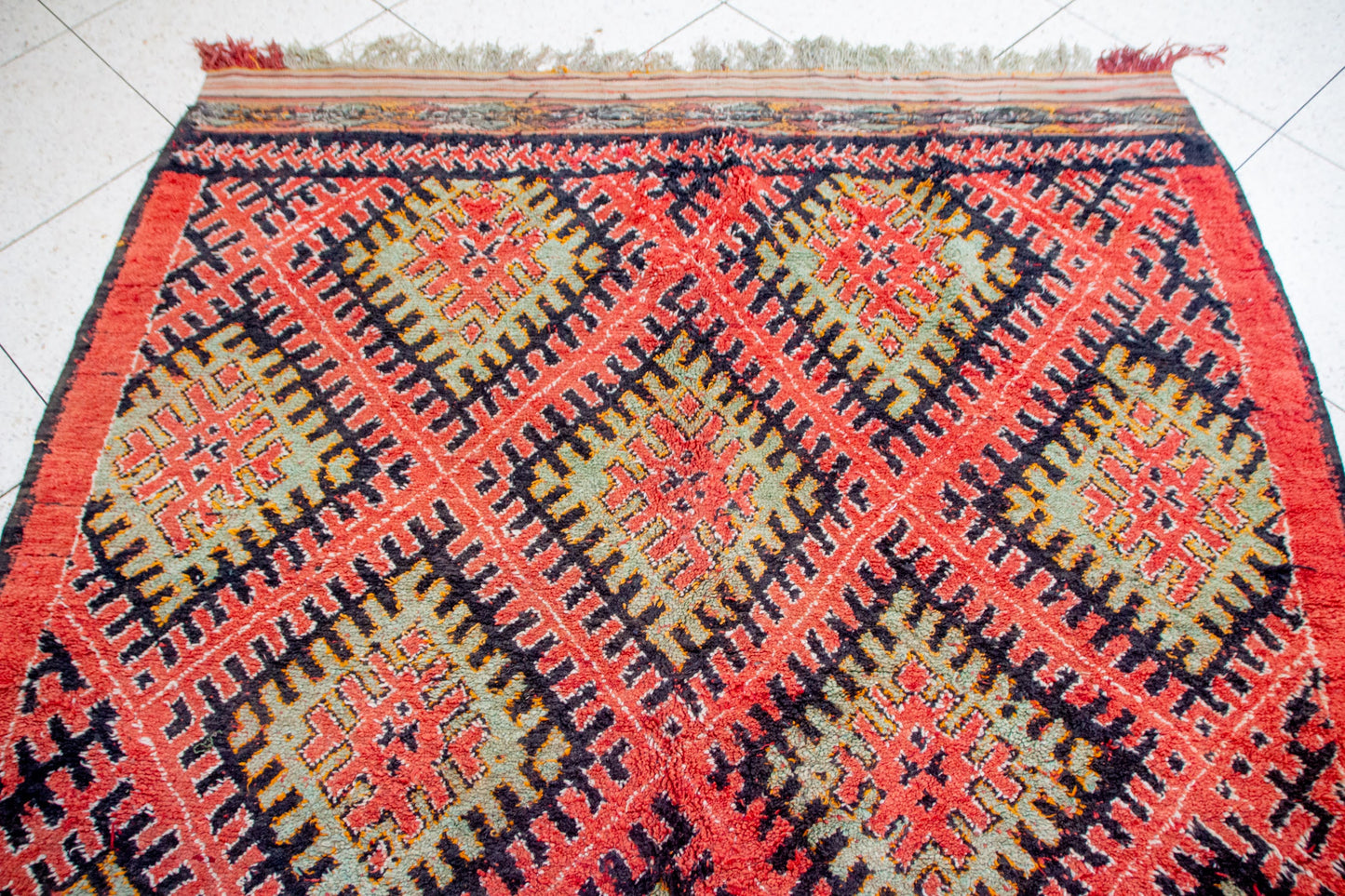 Aït Zayane Trellised Diamond Garden — Coral & Sage Lattice with Cross Rosettes