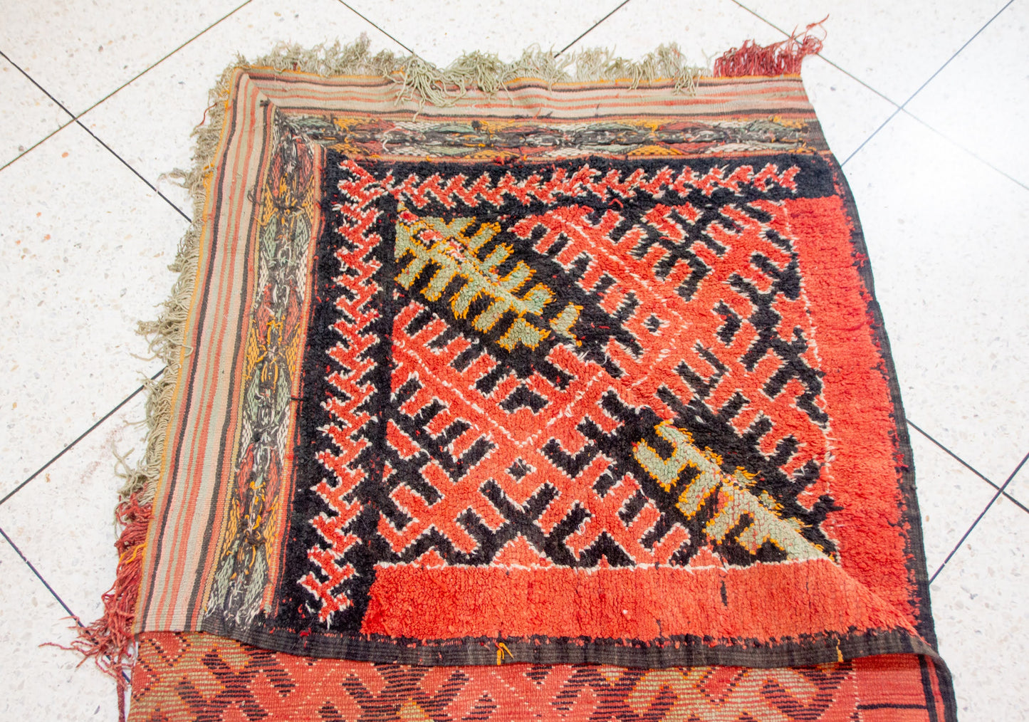 Aït Zayane Trellised Diamond Garden — Coral & Sage Lattice with Cross Rosettes