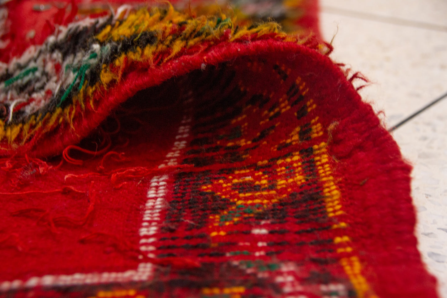Aït Zayane Sequined Panel Garden — Red Field with Jewel Borders