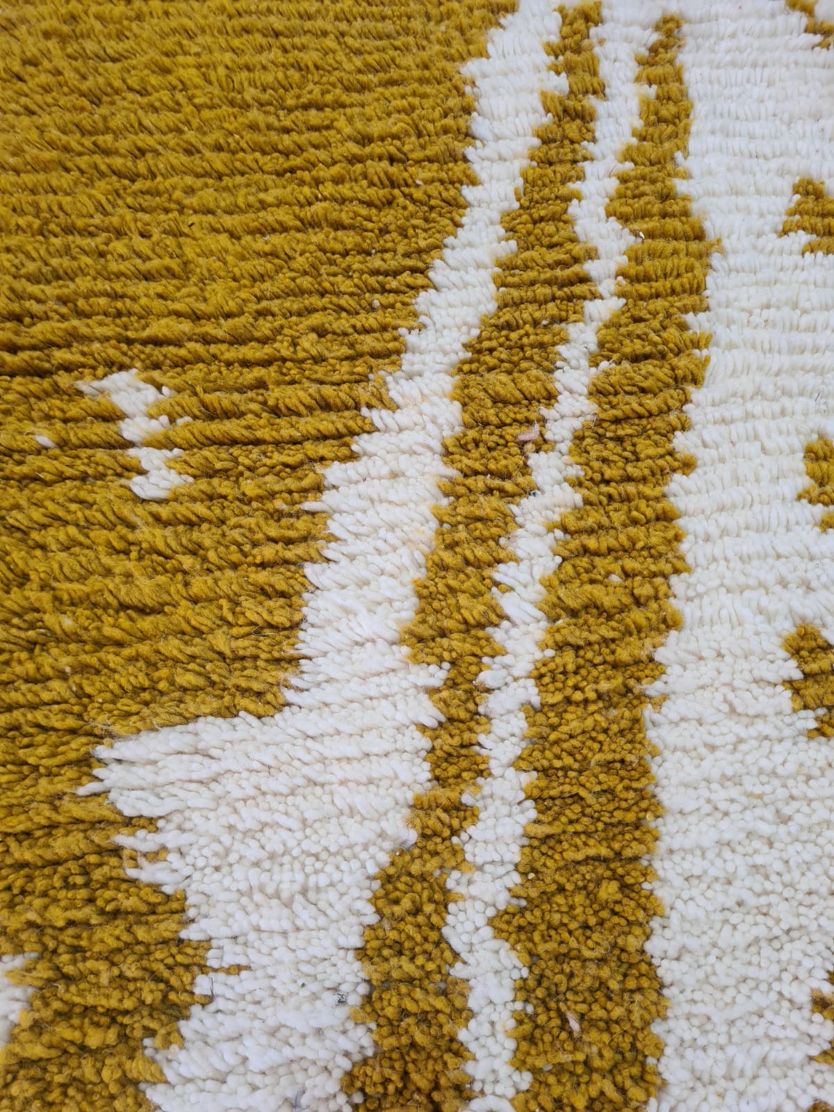 The Golden Fields – Beni Mrirt Ode to Fertility and Flow
