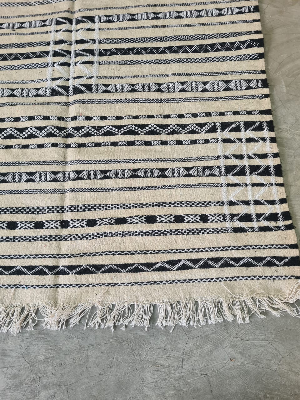 Desert Script – Zemmour Linework in Ivory & Midnight