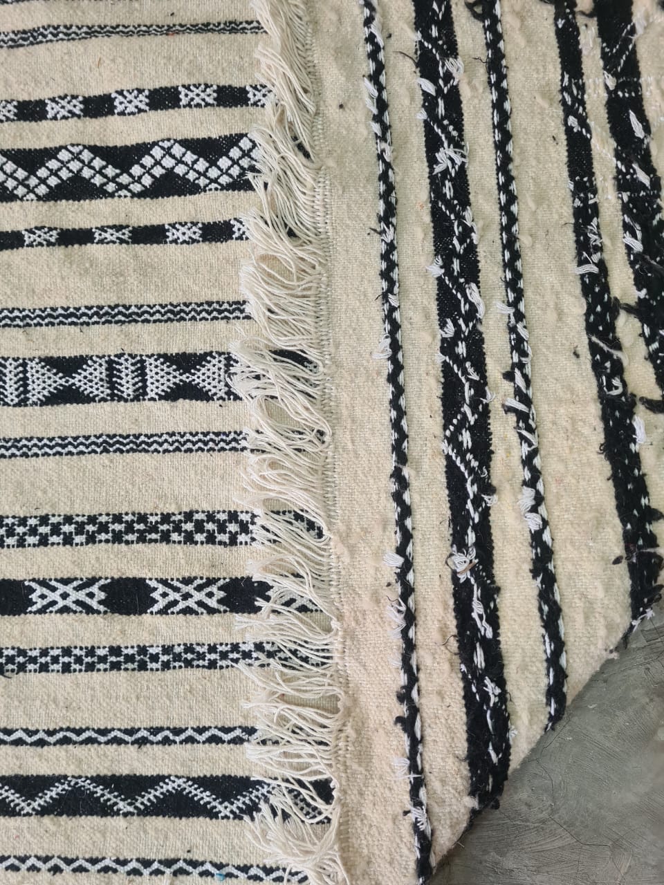 Desert Script – Zemmour Linework in Ivory & Midnight