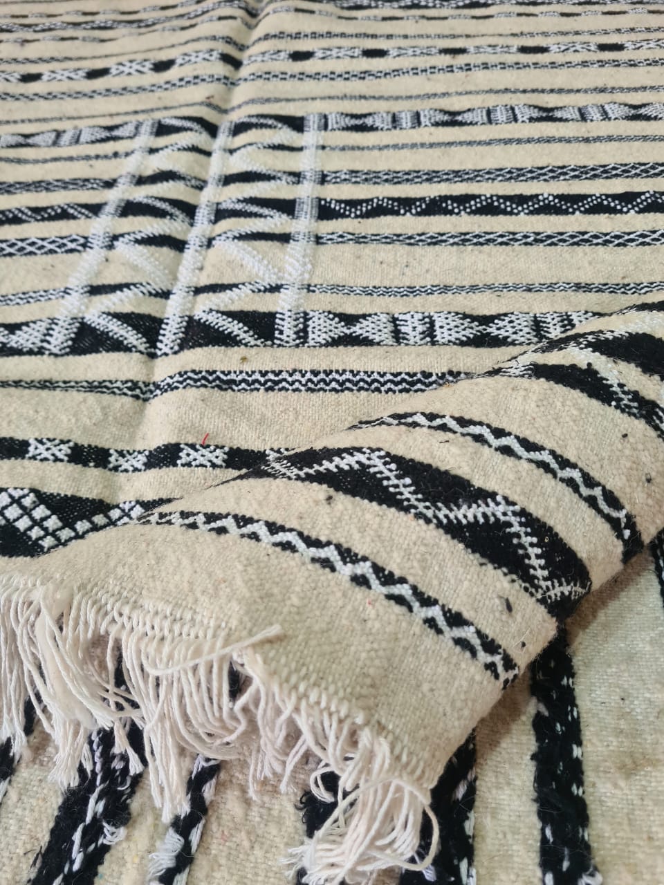 Desert Script – Zemmour Linework in Ivory & Midnight
