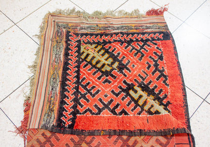 Aït Zayane Trellised Diamond Garden — Coral & Sage Lattice with Cross Rosettes