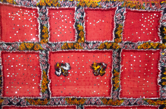 Aït Zayane Sequined Panel Garden — Red Field with Jewel Borders