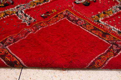 Aït Zayane Sequined Panel Garden — Red Field with Jewel Borders