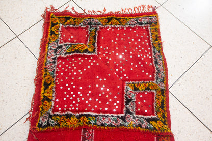 Aït Zayane Sequined Panel Garden — Red Field with Jewel Borders