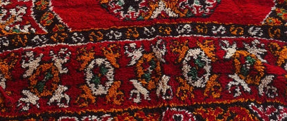 Zayane — Hand-Knotted Wool Rug