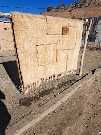 Signal Square — Beni Mrirt Relief Grid with Accent