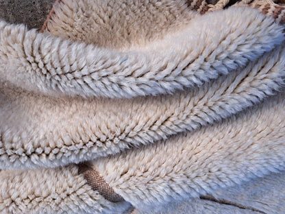 Signal Square — Beni Mrirt Relief Grid with Accent