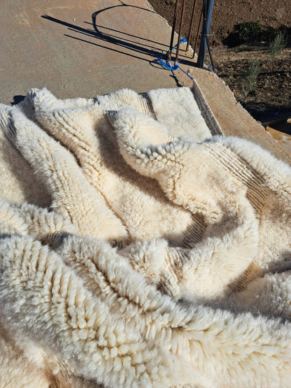 Marmoucha Subtle Chevron Field — Ivory Trace