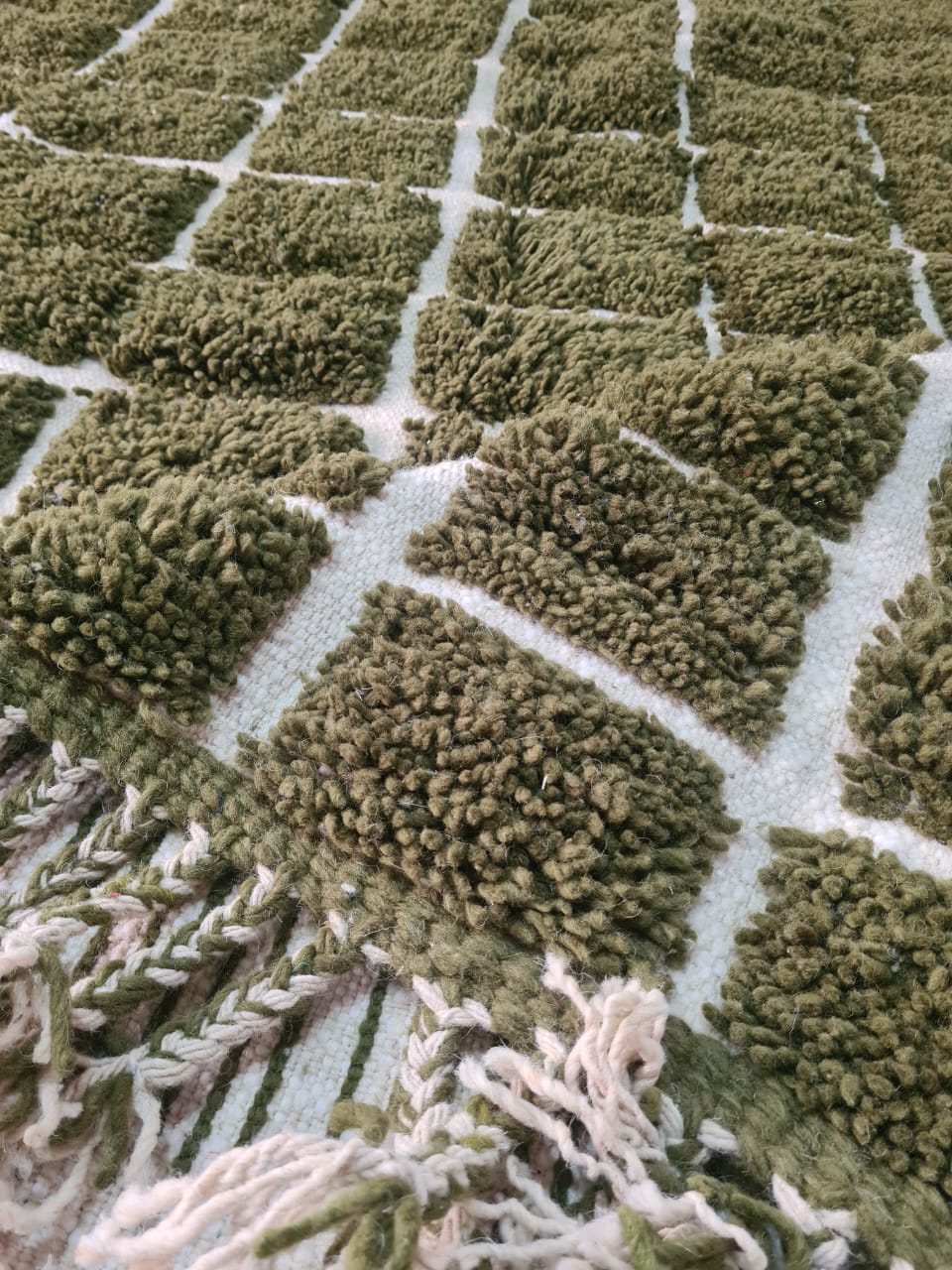 Marmoucha Olive Grid Field — Structured Terrain