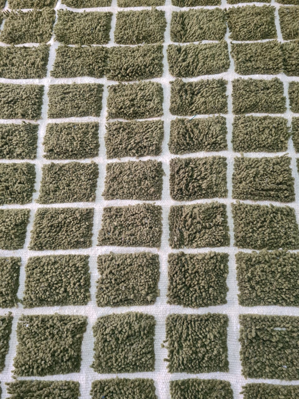 Marmoucha Olive Grid Field — Structured Terrain