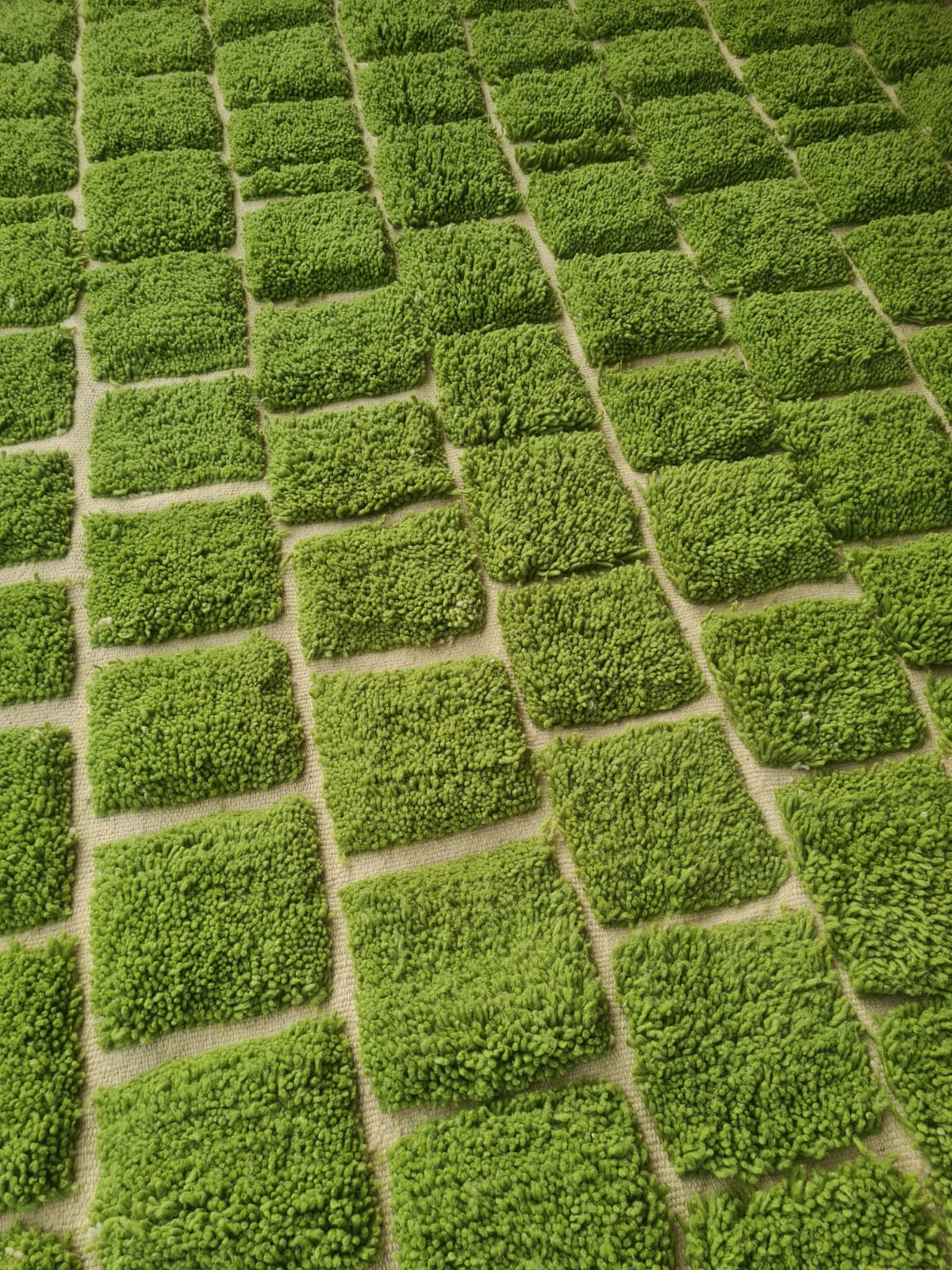 Marmoucha Verdant Grid Field — Emerald Terrain
