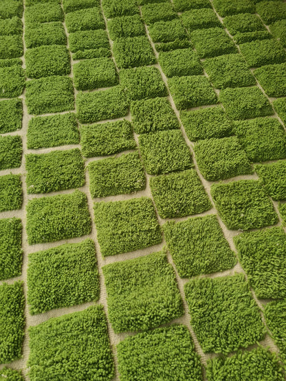 Marmoucha Verdant Grid Field — Emerald Terrain