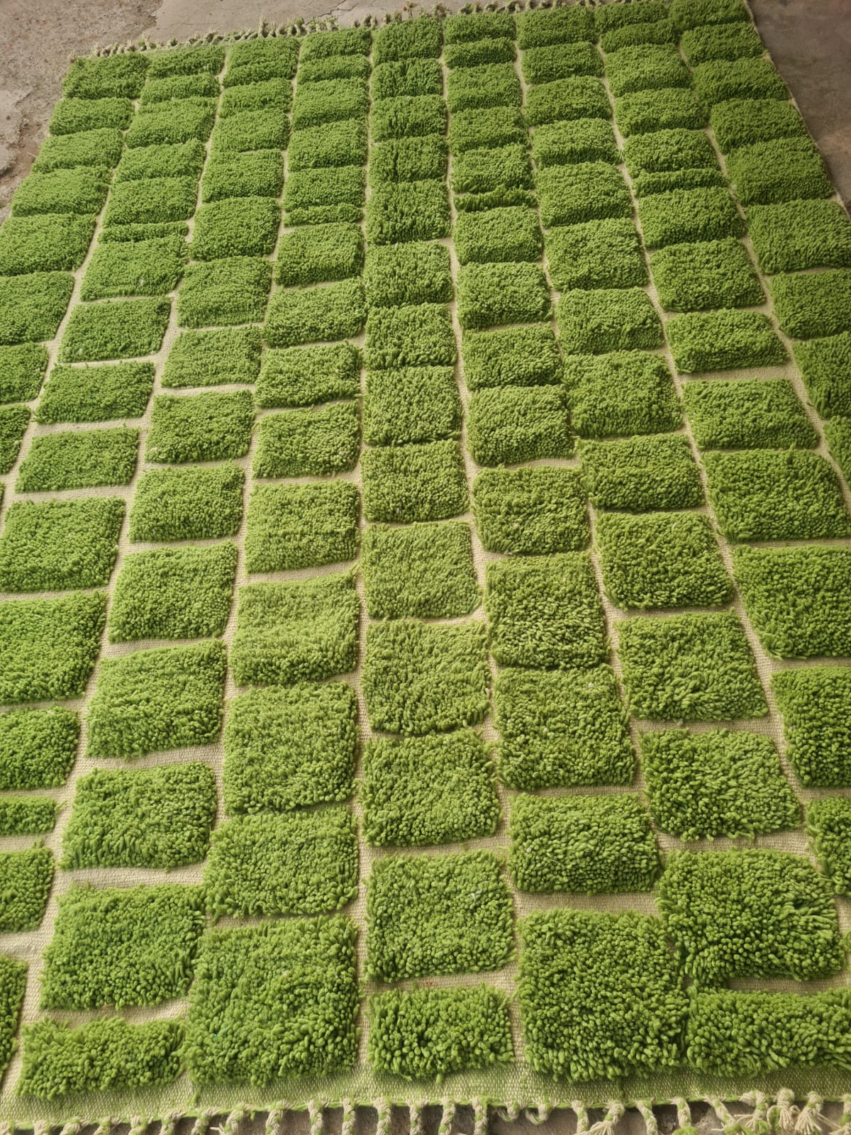 Marmoucha Verdant Grid Field — Emerald Terrain