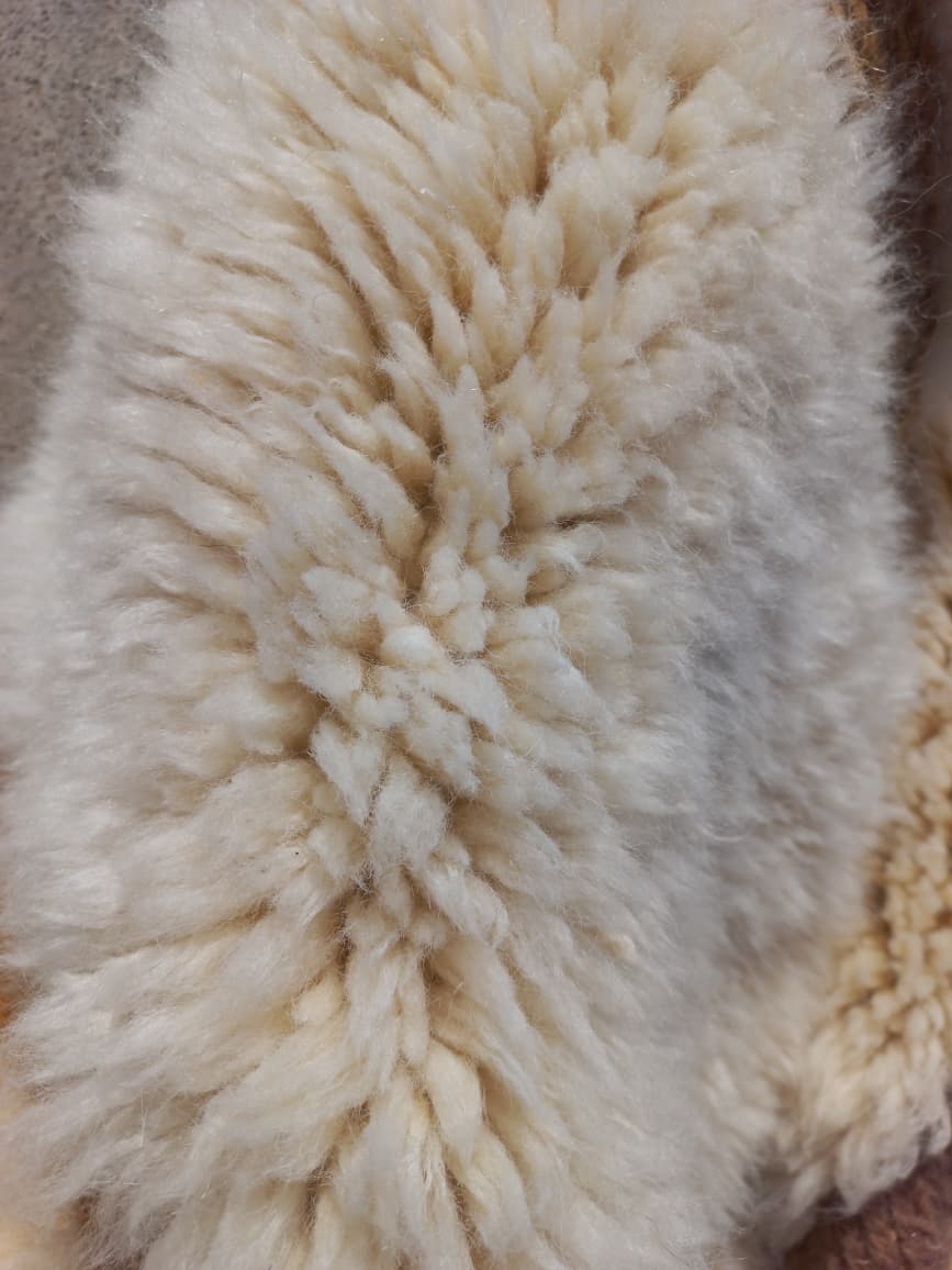 Marmoucha Ivory Sculpted Grid Rug