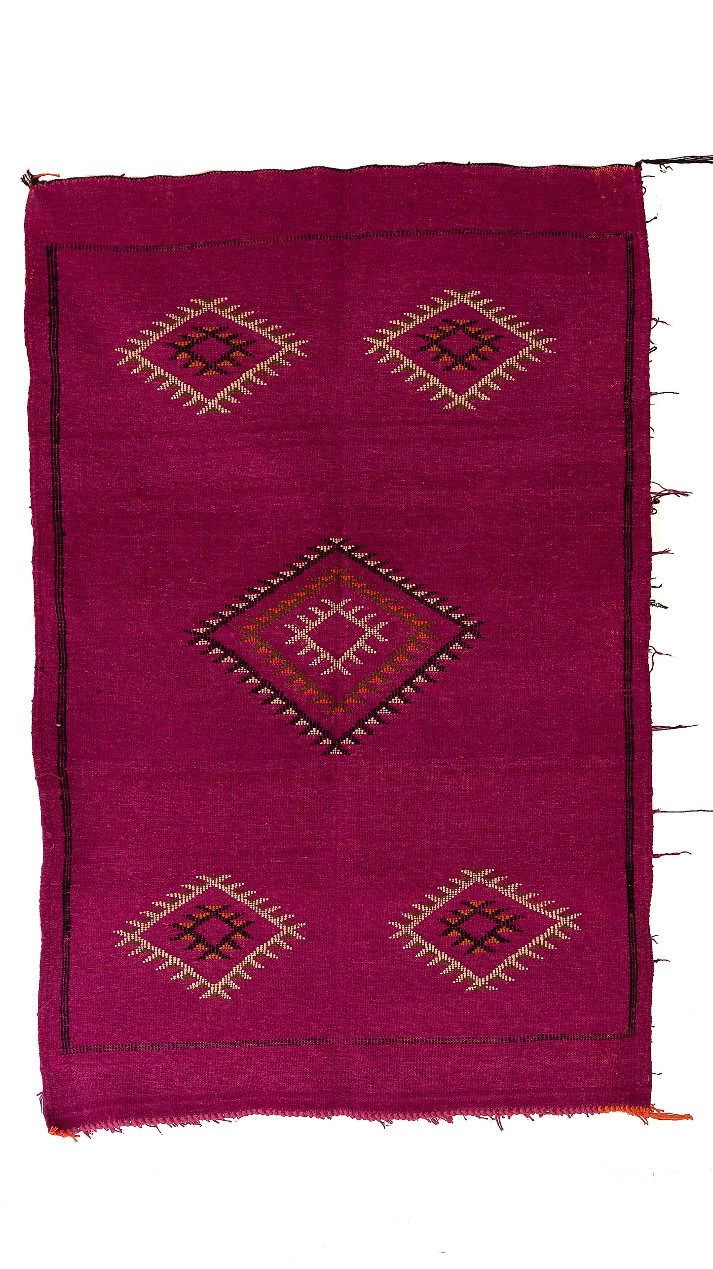 فوشيا المدينة المنورة – بوجاد مبرة الكليم 