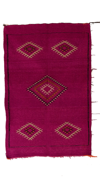 فوشيا المدينة المنورة – بوجاد مبرة الكليم 