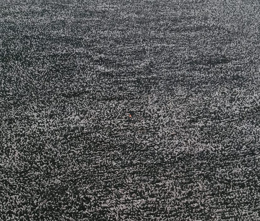 Beni Mrirt Monochrome Field — Charcoal Surface